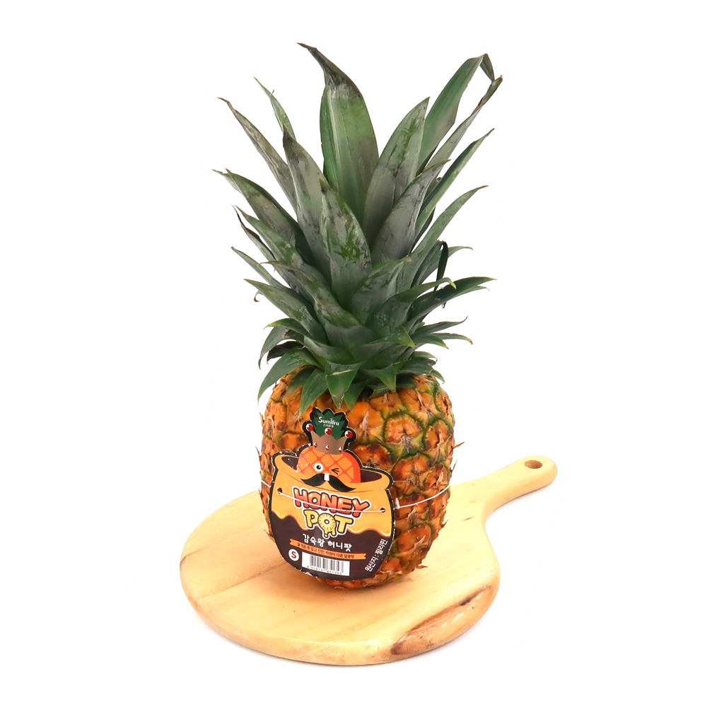 감숙왕 고당도 허니팟 파인애플 소과